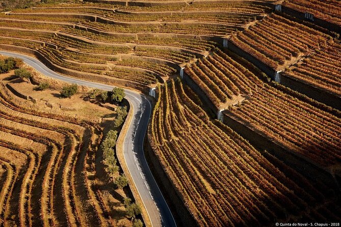 4×4 Douro Wine Tasting Private Tour - Key Highlights I’d Prioritize