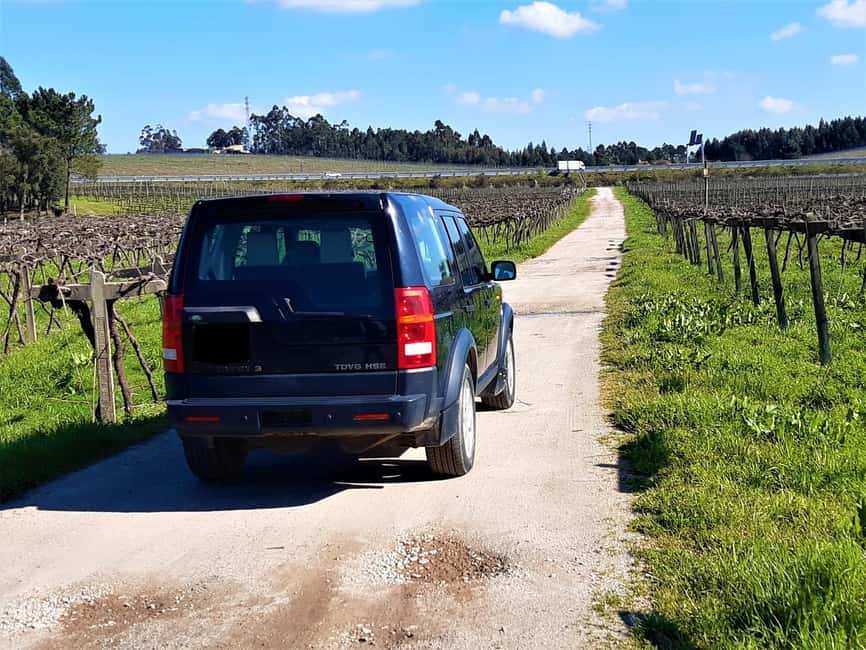 4x4 & Vinho Verde with transportation to the activity - The vineyard visit, then a jeep tour of the estate