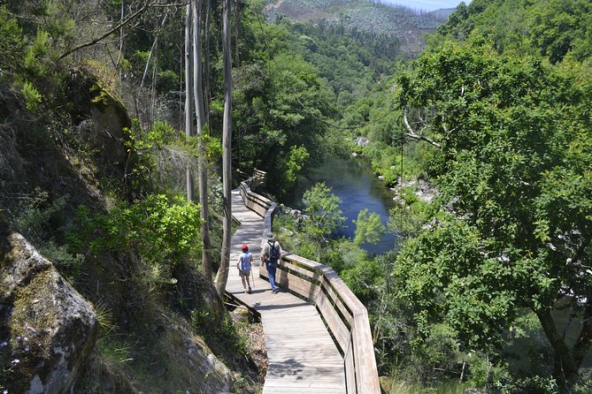 516 Arouca Bridge, Paiva Walkways and Aveiro Tour - Key reasons this tour feels worth it