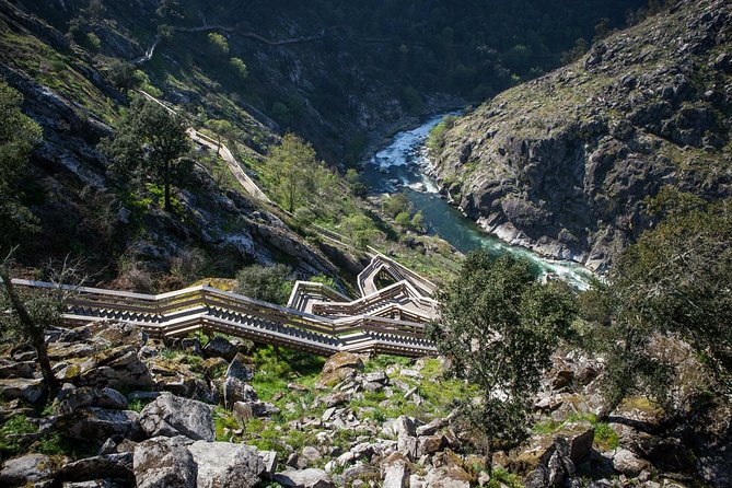 516 Arouca Bridge, Paiva Walkways and Aveiro Tour - Getting from Porto: pickup, timing, and what to plan for