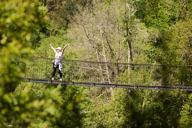 516 Arouca Bridge & Paiva Walkways Tour with Lunch from Porto - Licensed guides make the difference, from safety to story stops