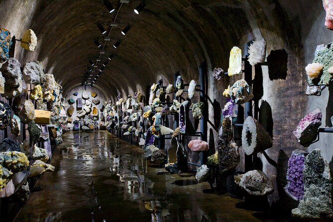 Alianca Underground Museum Experience - Key things to know before you go