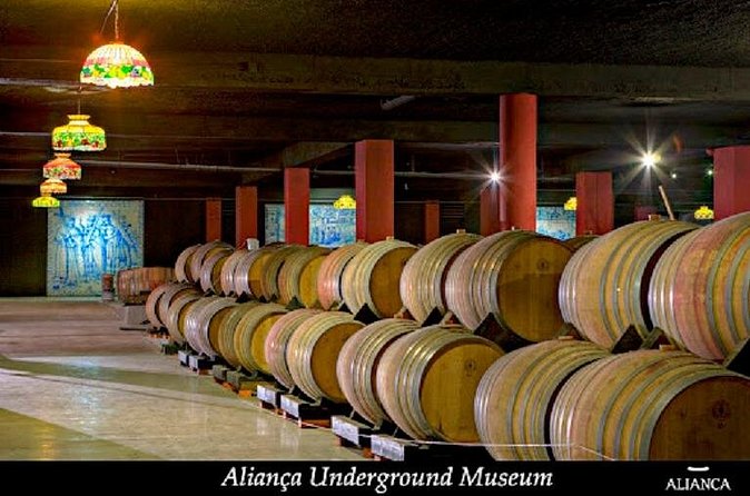 Alianca Underground Museum Experience - What to consider if you want labels and deep context