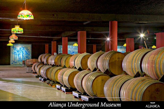 Alianca Underground Museum Experience - Who should book this tour, and who should skip it