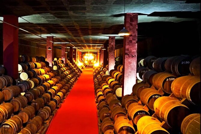 Alianca Underground Museum Experience - Practical tips to make the most of Alianca, underground style