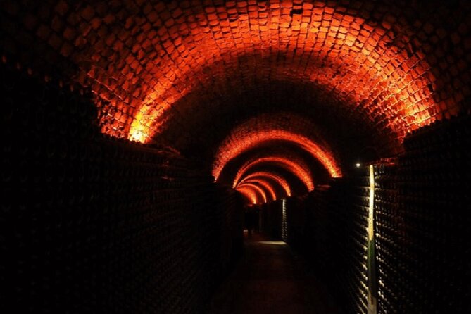 Alianca Underground Museum Experience - The guided part: how the tasting and the art viewing likely work