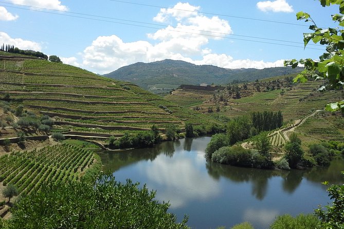 Authentic Douro Valley - small-Group Tour (Max 7) - Porto to the Douro: why this start matters