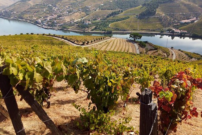 Authentic Douro Valley - small-Group Tour (Max 7) - Pinhão and the village pause that feels more human