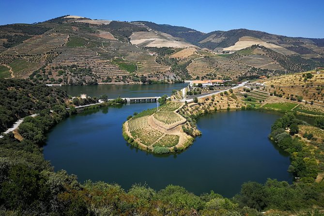 Authentic Douro Valley - small-Group Tour (Max 7) - The guide and the pacing: why people keep rating this so high