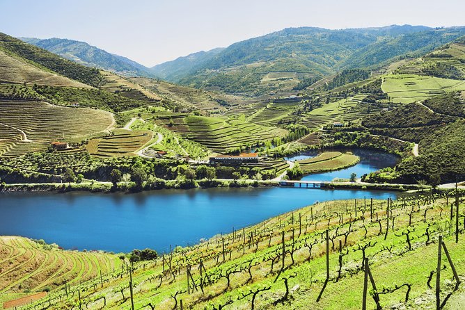Authentic Small Group Douro Wine Tour with Lunch & River Cruise - Peso da Régua first stop, a quick break with real wine-city context