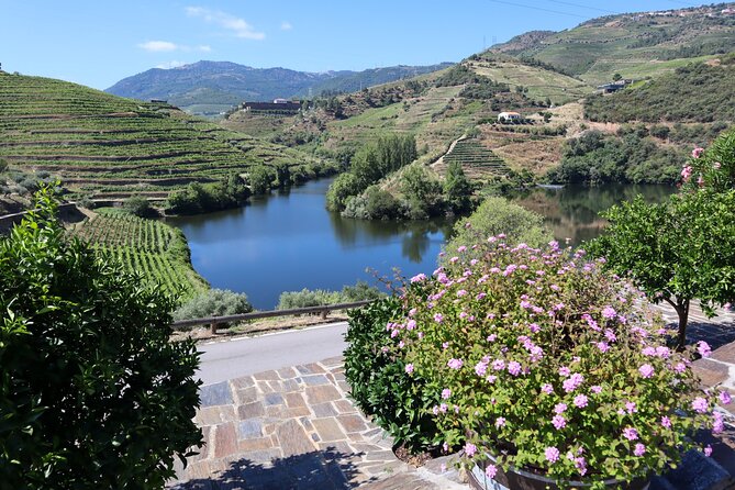Authentic Small Group Douro Wine Tour with Lunch & River Cruise - N222 drive to Pinhão, then a Rabelo river cruise