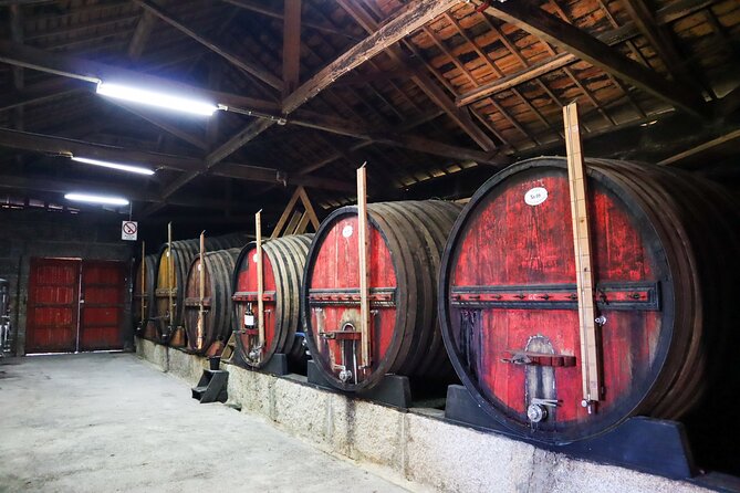 Authentic Small Group Douro Wine Tour with Lunch & River Cruise - Price and value at about $133, plus who this tour fits best
