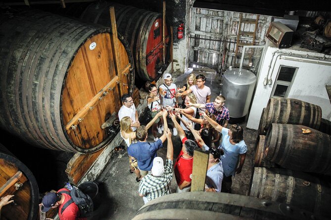 Authentic Small Group Douro Wine Tour with Lunch & River Cruise - Quinta do Tedo tastings, Port lessons, and Douro DOC samples