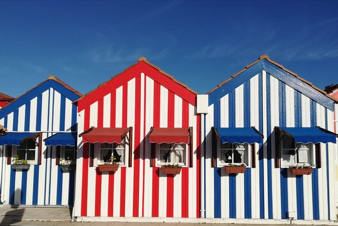 Aveiro and Coimbra Small Group Tour with Moliceiro Boat Cruise - Porto to Aveiro: the day starts with smart timing