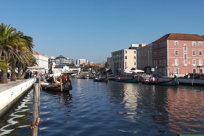 Aveiro and Coimbra Small Group Tour with Moliceiro Boat Cruise - How small-group guiding changes the pace (and the photo odds)
