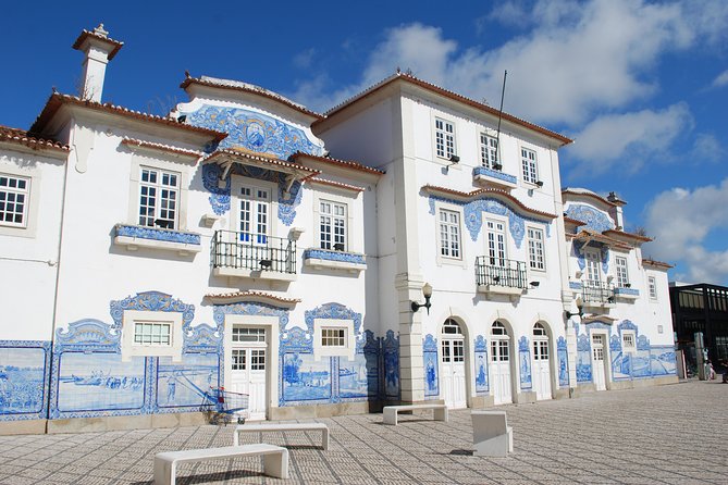 Aveiro and Costa Nova Half Day Tour from Porto with Boat Ride - What’s included, what’s not, and how that affects your day