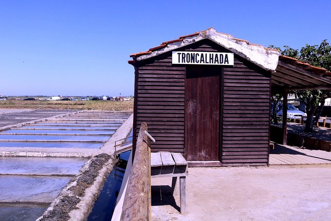 Aveiro and Costa Nova Half Day Tour from Porto with Boat Ride - Value check: is $55.63 a fair deal?