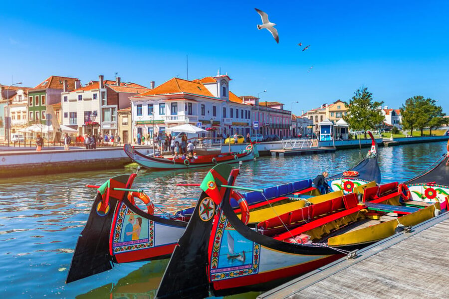 Aveiro and Costa Nova Half Day Tour with Cruise from Porto - Key highlights that make this tour worth your time