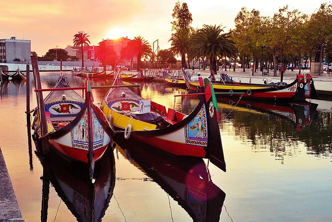 AVEIRO and COSTA NOVA Private Full Day Tour from Porto - Key Highlights You Can Count On