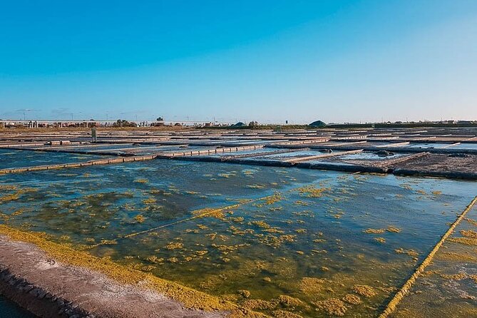 AVEIRO and COSTA NOVA Private Full Day Tour from Porto - Costa Nova Fish Market Lunch Time, 1 Hour 30 Minutes Where You Can Refuel