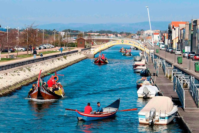 Aveiro Canal Cruise in Traditional Moliceiro Boat - The 45-Minute Canal Loop: What You’ll See and Why It Works