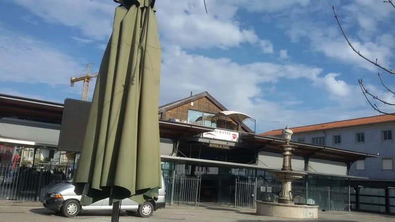 Aveiro & Coimbra Small Group Tour with Moliceiro Boat Cruise - How the 9-hour Aveiro and Coimbra day really flows