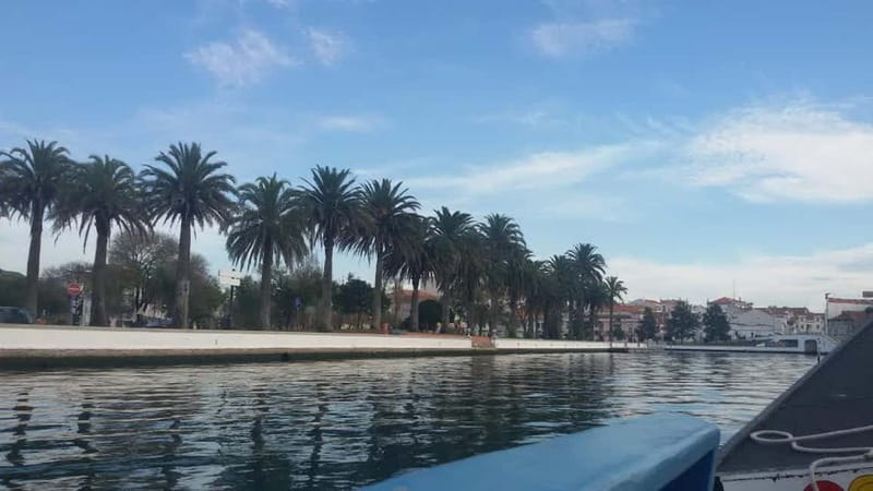 Aveiro & Coimbra Small Group Tour with Moliceiro Boat Cruise - On the moliceiro boat: striped houses, salt ponds, and storks