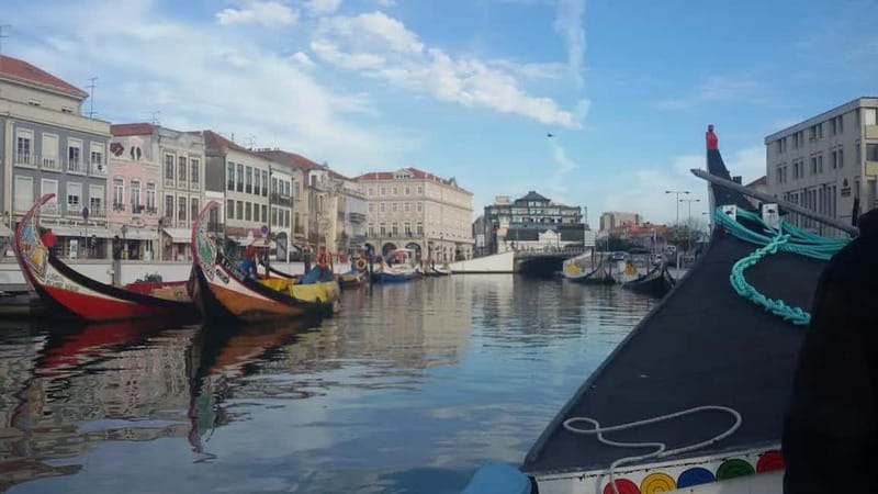 Aveiro & Coimbra Small Group Tour with Moliceiro Boat Cruise - Aveiro: the fish market zone, Art Nouveau streets, and the Venice of Portugal feel