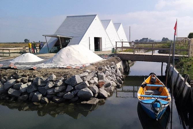 Aveiro & Costa Nova Private Tour – Canals & Striped Houses - São Jacinto Nature Reserve: dunes, trails, and a boat option
