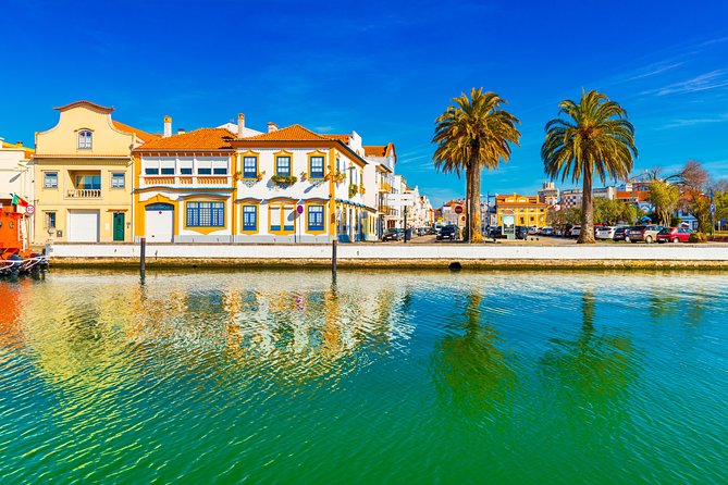 Aveiro Half Day Private Tour Porto w/ Moliceiro River Cruise - The Moliceiro River Cruise on the Ria de Aveiro