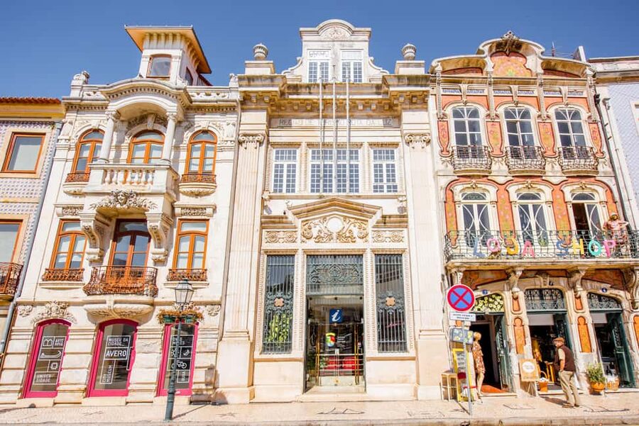 Aveiro: Half-Day Tour from Porto with Optional Cruise - Moliceiro boat cruise: worth choosing if you want the canals explained in motion