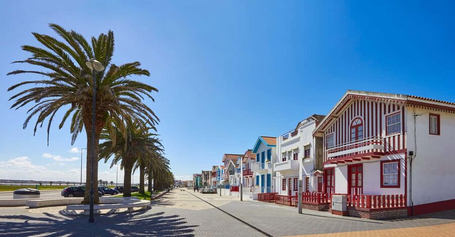 Aveiro: Half-Day Tour from Porto with Optional Cruise - Price and value: is $51 per person a good deal?