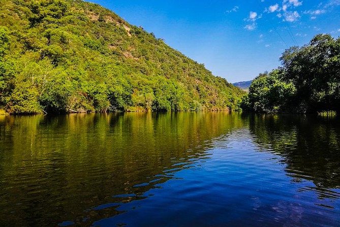 Best of Douro Valley Wine Full Day Private Tour - Key Points I’d Prioritize Before Booking
