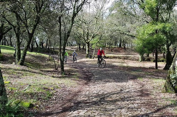 Bicycle rental in Porto for the Santiago de Compostela Road - The handoff, the return, and why timing matters in Santiago