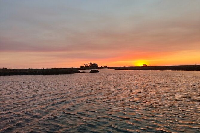 Boat tour of the highlights of the Ria - Key things you should notice on this Ria de Aveiro boat tour