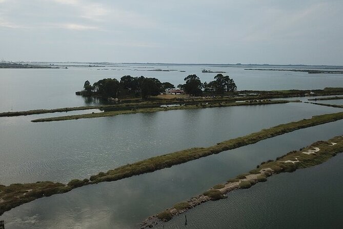 Boat tour of the highlights of the Ria - Price and value: what $60.07 buys you