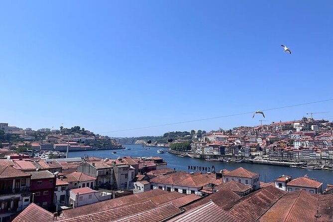 Boutique Port Wine Tour in Gaia with Rooftop Views - Non-alcoholic option if you want the tour, minus the Port