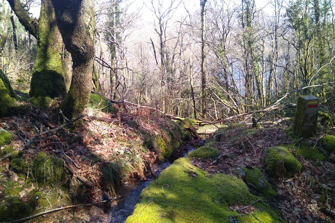 Breathtaking Nature in Gerês Park - Private tour from Porto - Arcos de Valdevez viewpoints: big mountain scale, quick hit