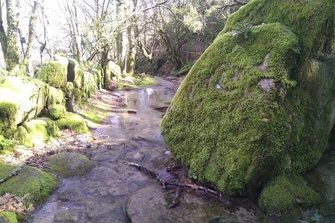 Breathtaking Nature in Gerês Park - Private tour from Porto - The 8 to 9 hour flow, and how to use it well