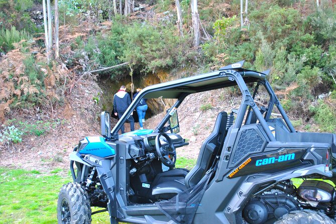 Buggy Experience at Arouca Geopark - The signature scenery: waterfalls, valleys, and the 516 Arouca bridge