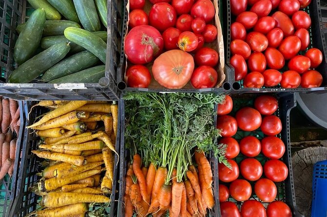 Buy, Cook & Taste-Gastronomic Tour North Portugal - Stop 2 on the farm near São Félix da Marinha: aromatic produce with a real purpose