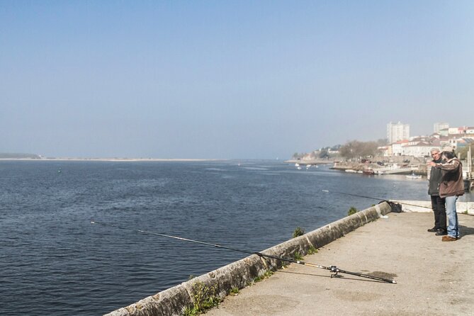 City Bike Rental in Porto - Why Porto by Bike Feels Effortless