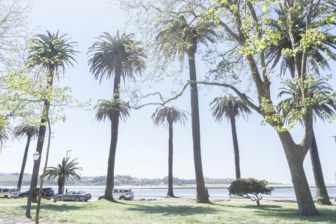 City Bike Rental in Porto - Riding Your Day on Porto’s Cycle Paths and Douro River Banks