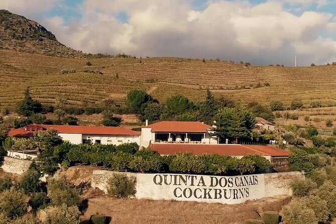 Cockburn’s Cellar: Visit & Wine Tasting - Timing in Porto: when this tour fits best