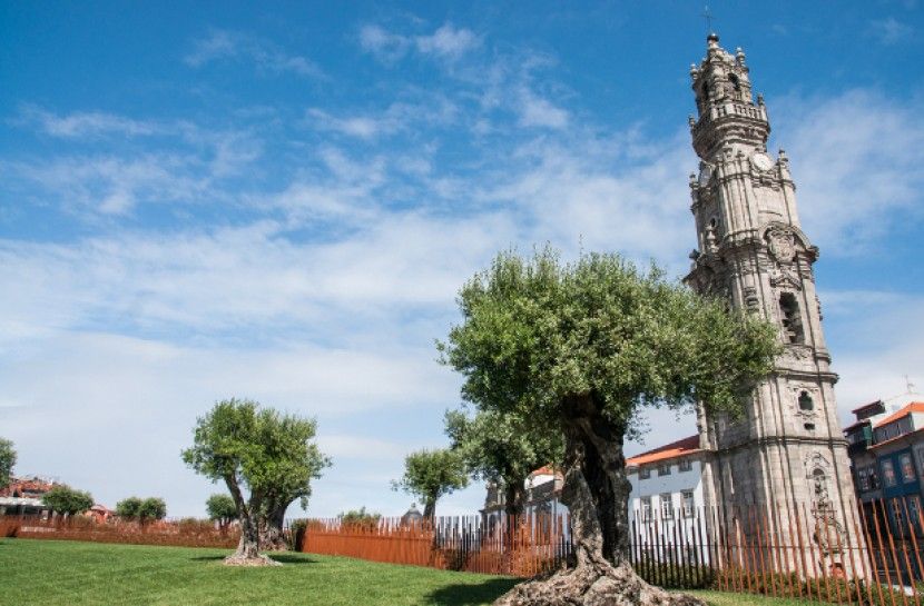Combo: Porto City Half-Day Tour & Aveiro Half-Day Tour - Quick hits you will actually feel