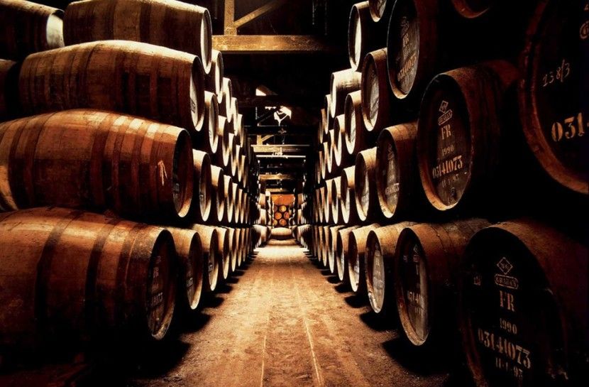 Combo: Porto City Half-Day Tour & Aveiro Half-Day Tour - Price and value: what you get for around $84