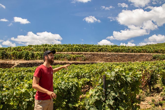Complete Douro Valley Wine Tour with Lunch, Wine Tastings and River Cruise - Key Things That Make This Douro Day Trip Work