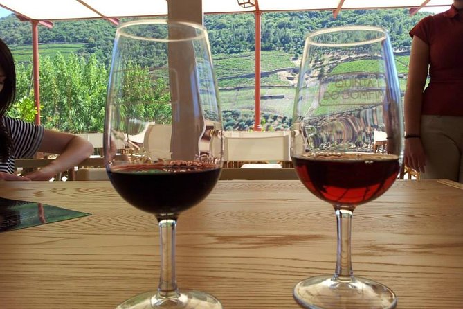 Complete Douro Valley Wine Tour with Lunch, Wine Tastings and River Cruise - Sabrosa Winery Visit: Tastings, Douro Pairing Lunch, and a Lot of Value