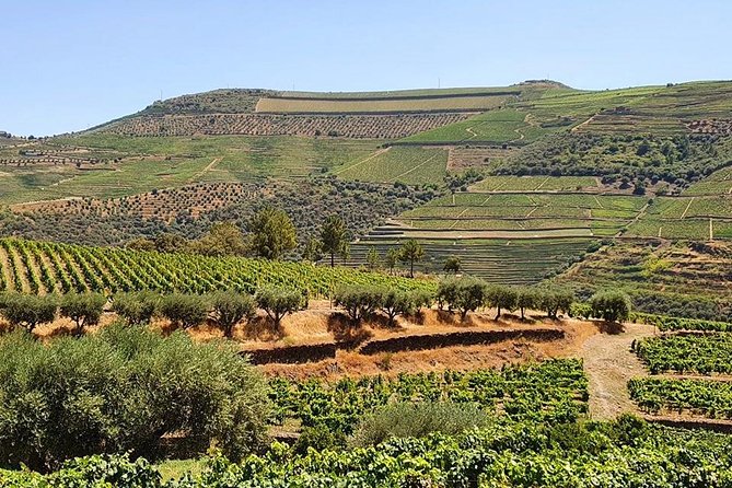 Complete Douro Valley Wine Tour with Lunch, Wine Tastings and River Cruise - The São Cristovão do Douro Photo Break: Quick Views, Quick Reset