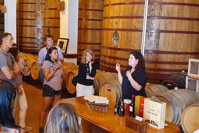 Complete Douro Valley Wine Tour with Lunch, Wine Tastings and River Cruise - Pinhão River Cruise on a Traditional Rebelo Boat: Where the Views Slow You Down